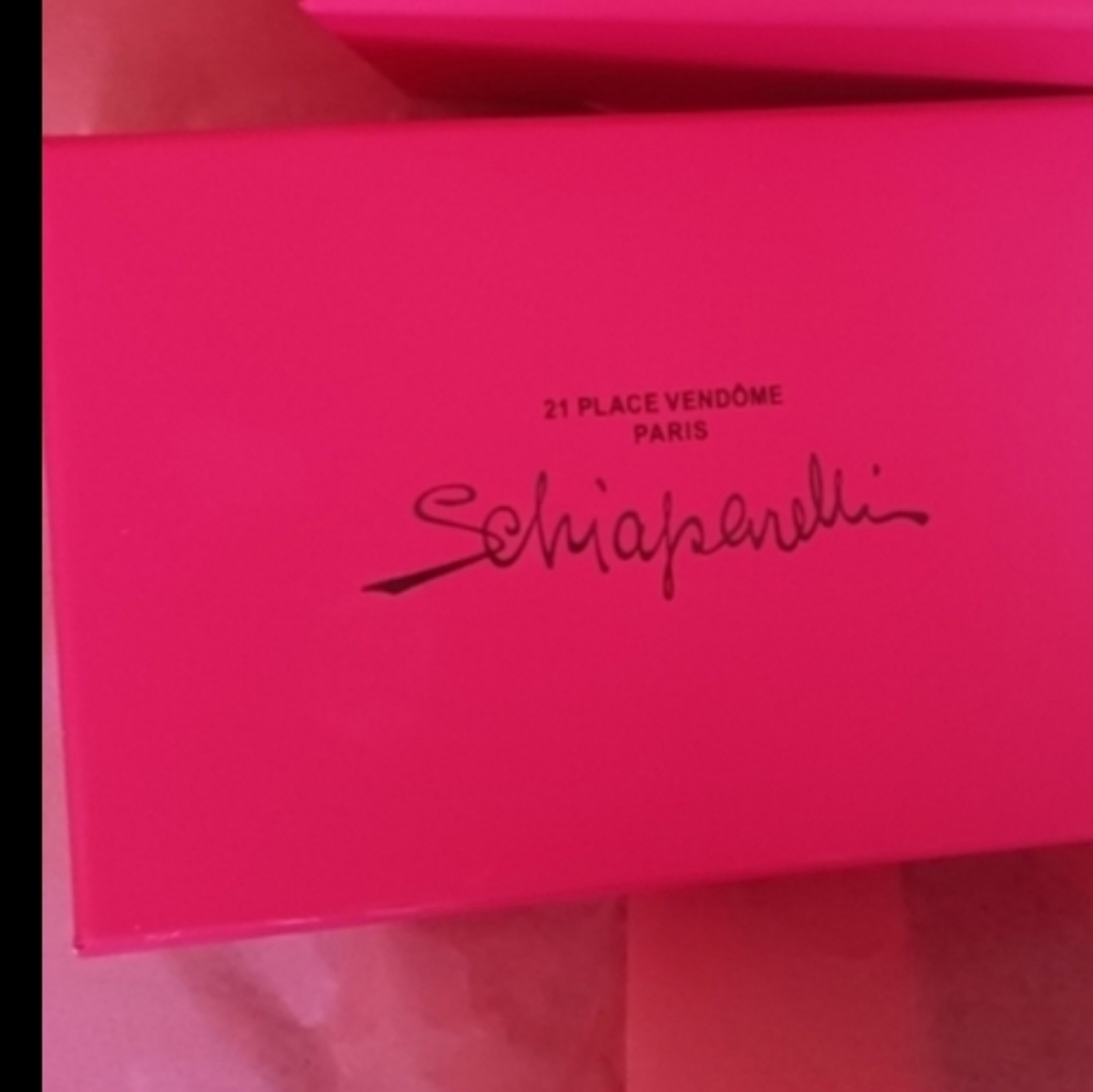 Schiaparelli Gift Box 4 X 7 Brooch Or Necklace